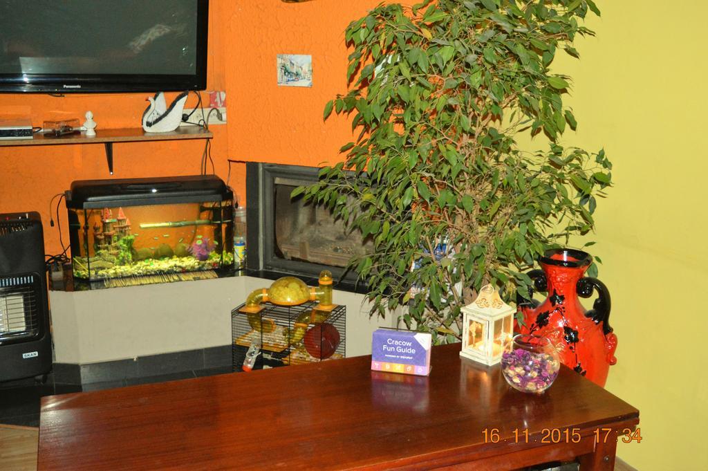 Honey Hostel Krasków Dış mekan fotoğraf